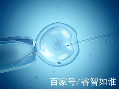 无精症案例